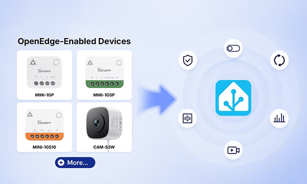 SONOFF OpenEdge Devices: Home Assistant Feature Support
