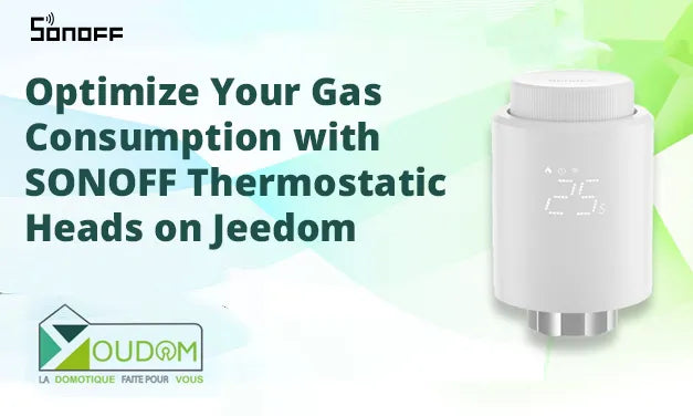 Optimize Your Gas Consumption with SONOFF Thermostatic Heads on Jeedom