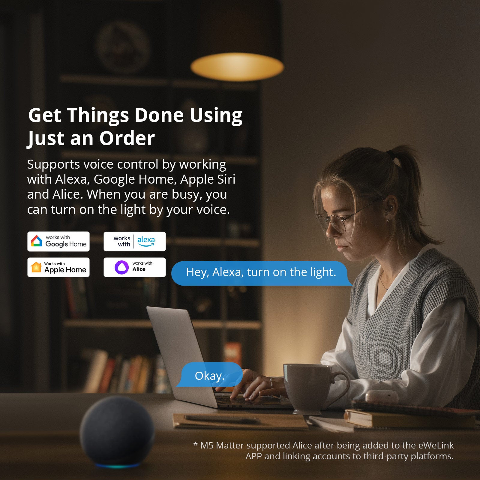 SONOFF SwitchMan Smart Wall Switch-M5 Matter