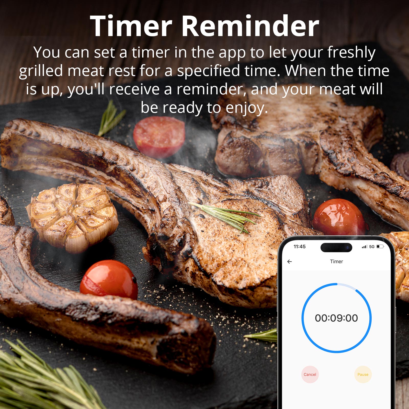 SONOFF BBQ Meat Thermometer | BMT01