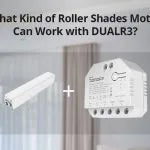 What Kind of Roller Shades Motor Can Work with DUALR3?
