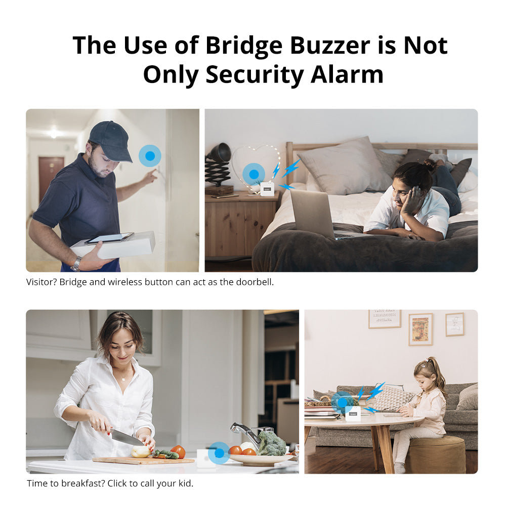 SONOFF Zigbee Bridge Pro